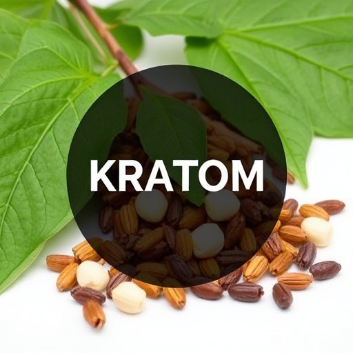kratom leaves