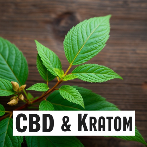 kratom leaves