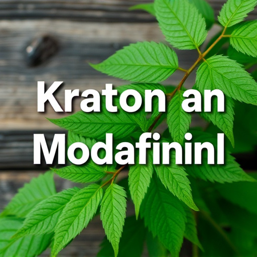 kratom leaves