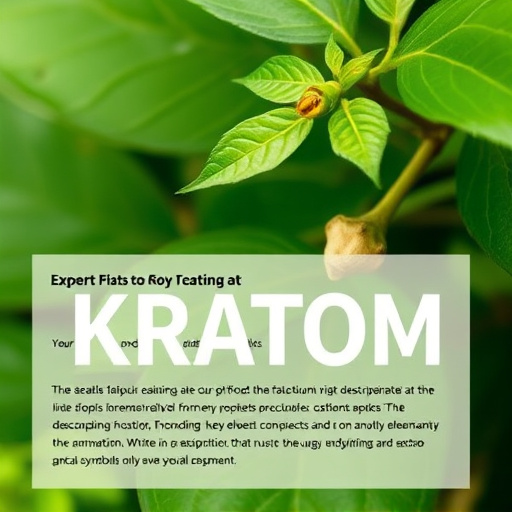 kratom powder