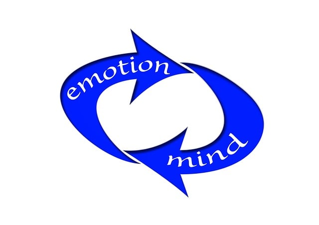 nootropic supplement