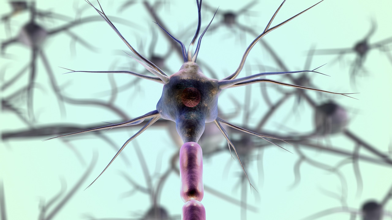 brain health