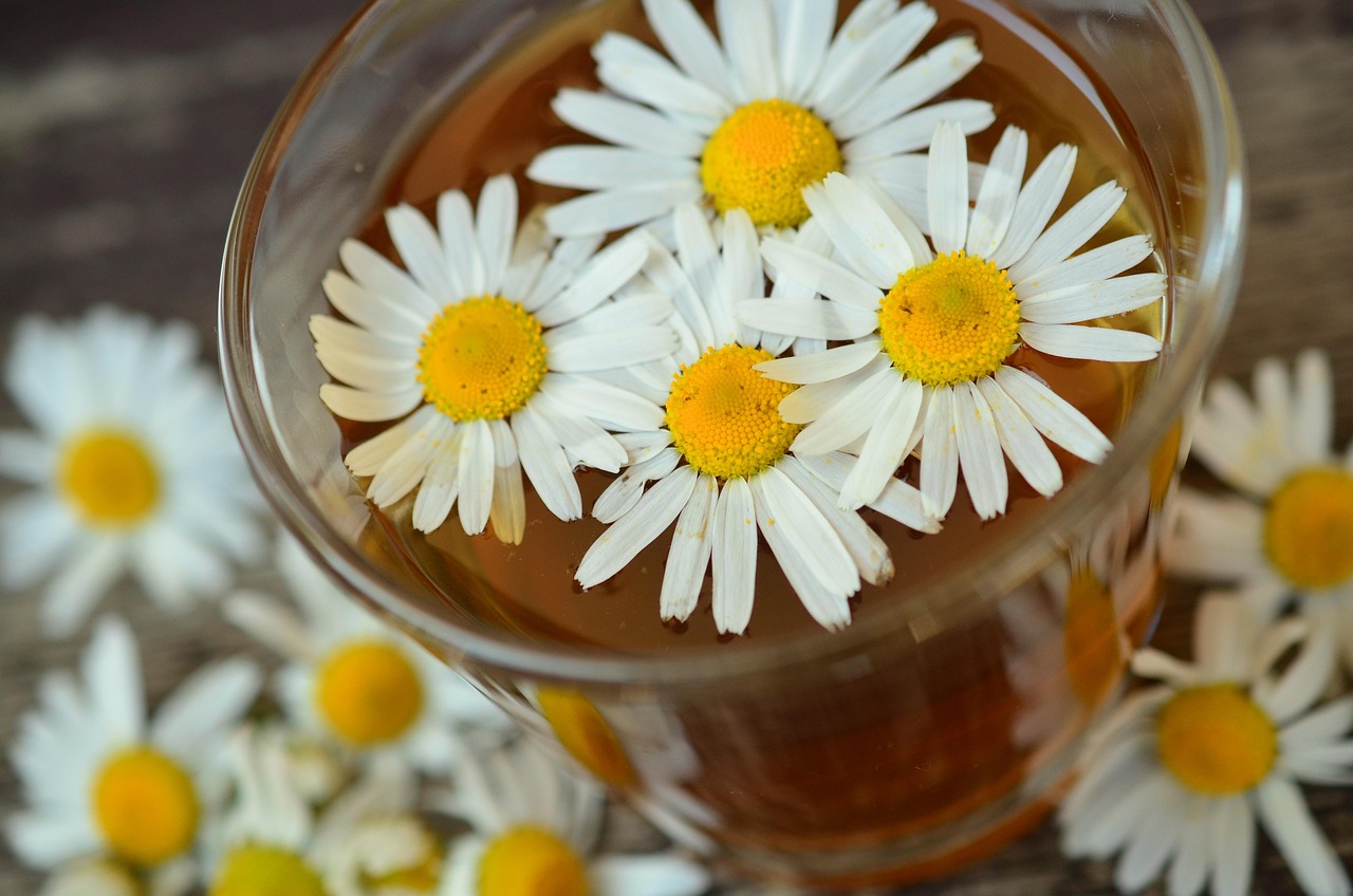 Natural Remedies: Yoga, Diet, & Balance for Energy