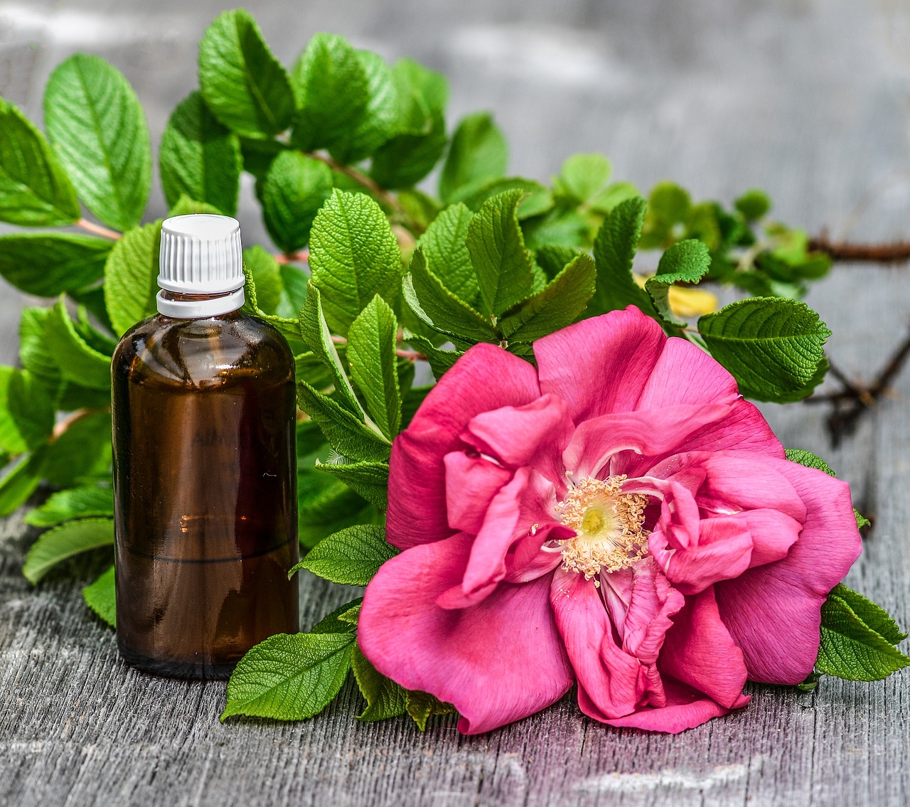 botanical extract