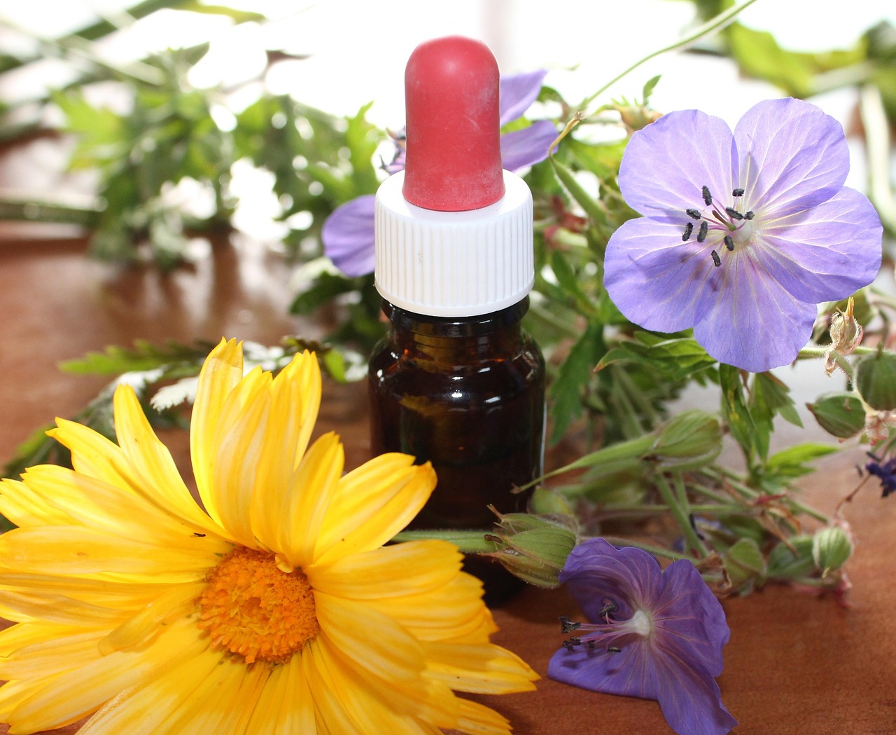 botanical extract