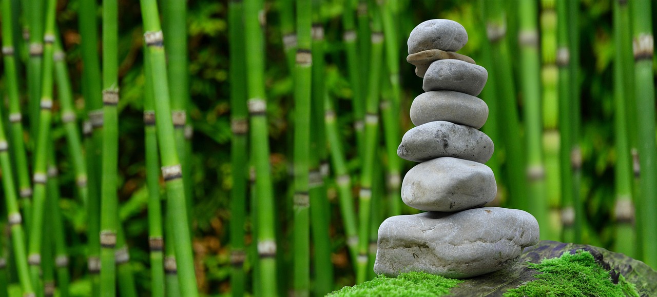 cognitive wellness