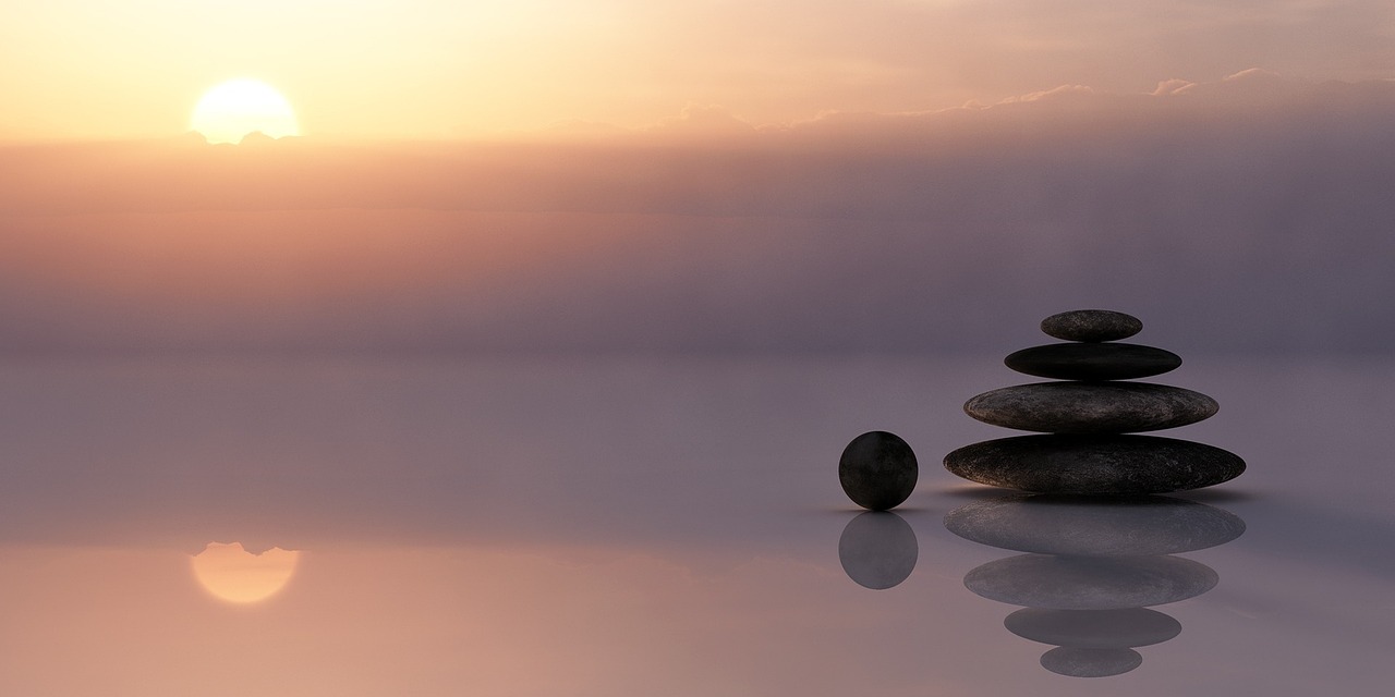 cognitive wellness