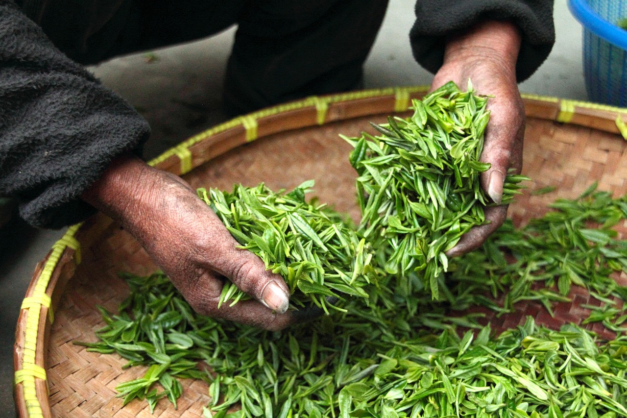 herbal tea