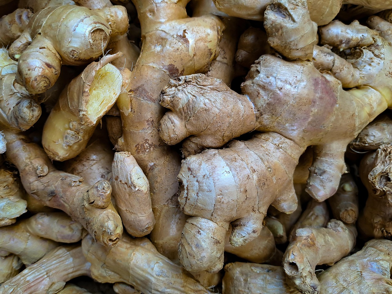 kava root