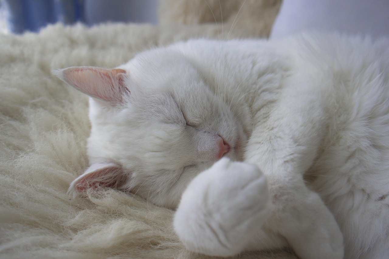 natural sleep