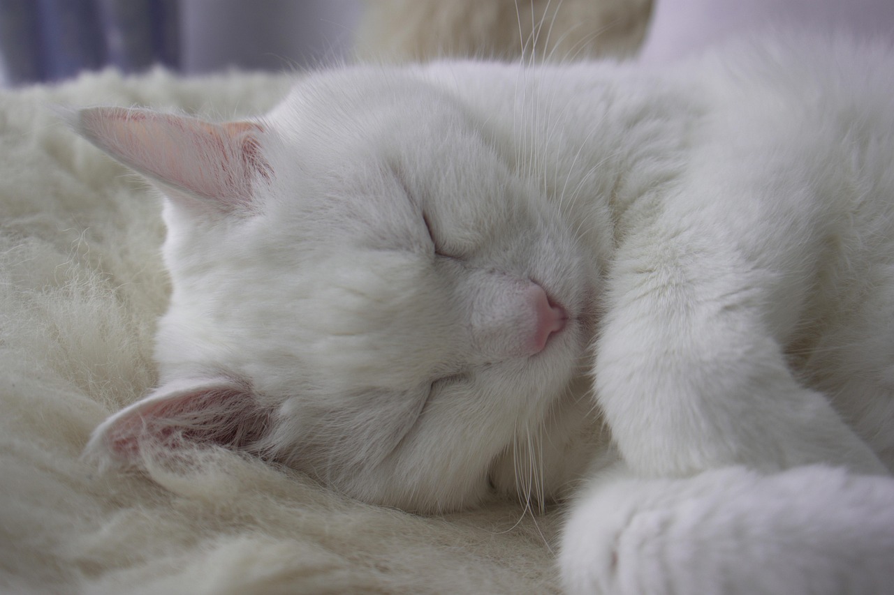 natural sleep