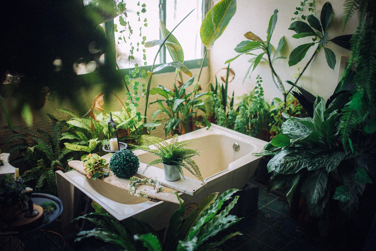 natural wellness