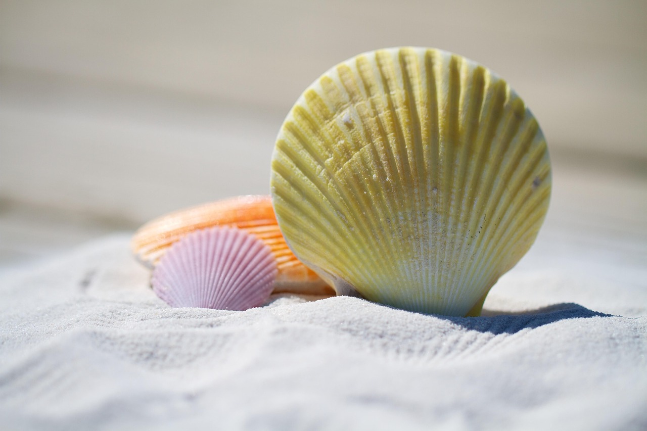 Transform Your Smile: Dental Veneers in Coral Springs