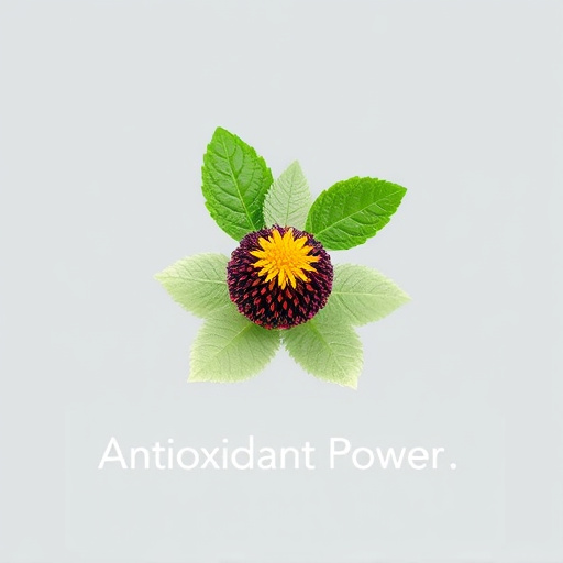 Unleash Nature’s Antioxidant Power: Comprehensive Herbal Guide