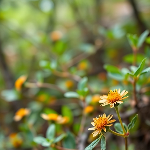 botanical supplement