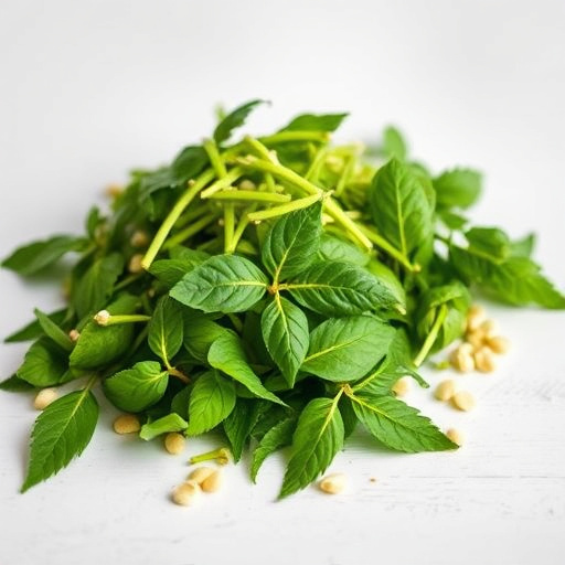 botanical supplement