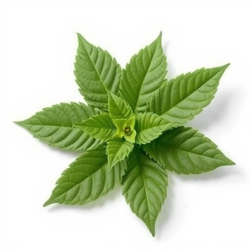 botanical supplement