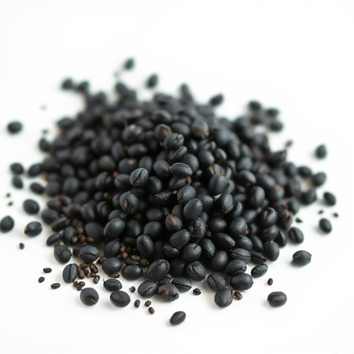 Unleash Black Seed Oil’s Power: Comprehensive Health Guide