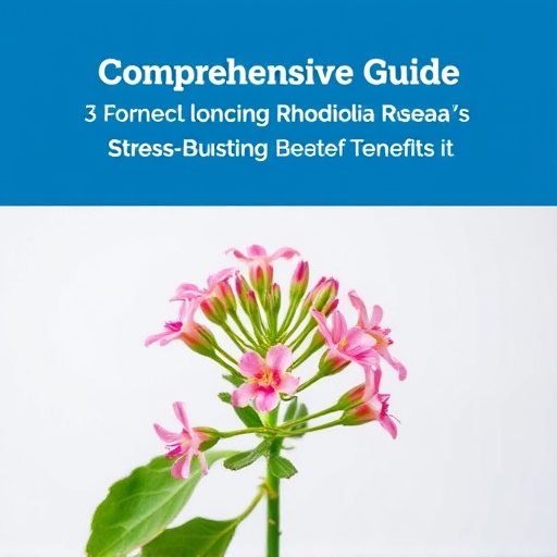 Comprehensive Guide: Unlocking Rhodiola Rosea’s Stress-Busting Benefits