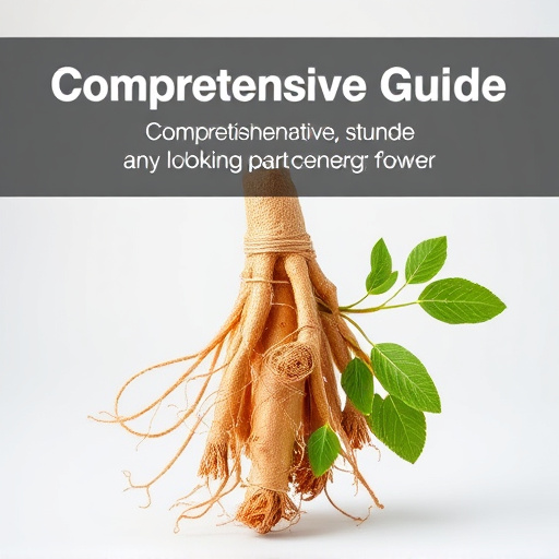Comprehensive Guide: Unlocking Ginseng’s Energy Power