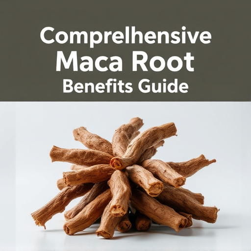 Comprehensive Maca Root Benefits Guide: Unlock Nature’s Power