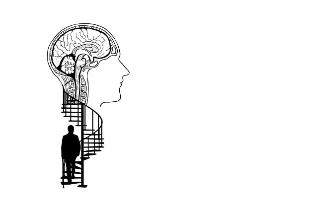 Comprehensive White Borneo Focus Guide: Enhance Cognitive Function Safely