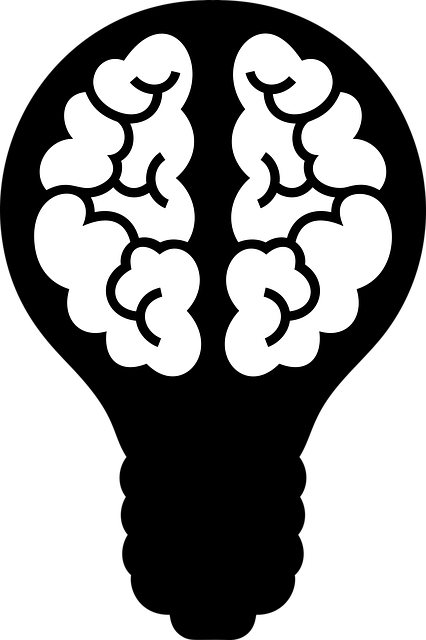 Comprehensive Guide: Bacopa Monnieri Brain Herb Benefits and Usage