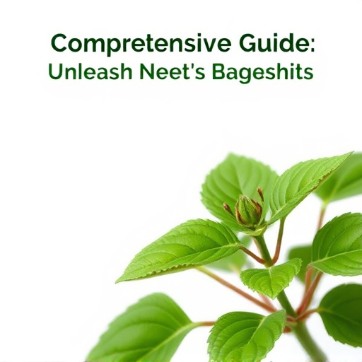 Comprehensive Guide: Unleash Gotu Kola’s Cognitive Herb Benefits