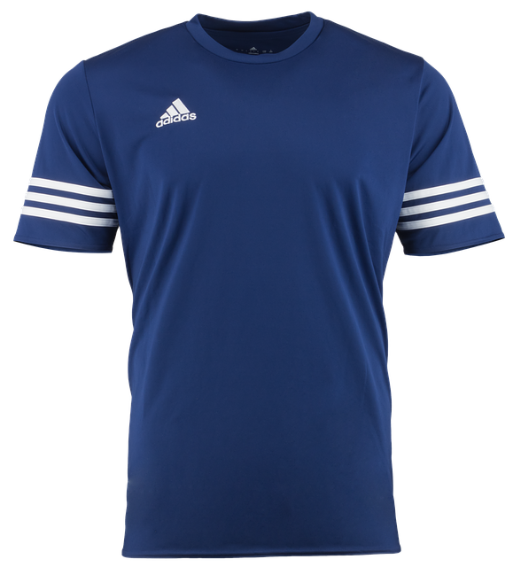 Comprehensive Echinacea Tea Guide: Benefits, Brewing, and More