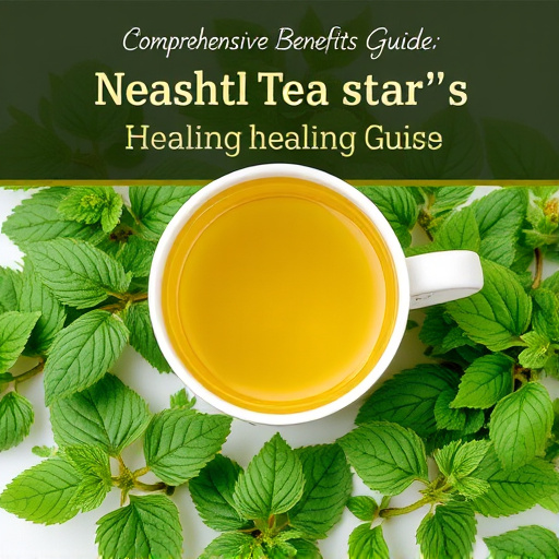 Unleash Nettle Tea’s Healing Powers: Comprehensive Benefits Guide