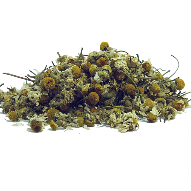 Master Kava Bar Etiquette: Global Culture & Responsible Enjoyment