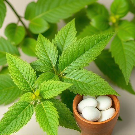 Comprehensive Kava Guide: Nature's Sleep Aid Unlocked