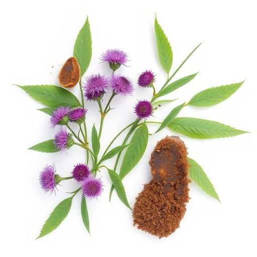 Milk Thistle Tea: Comprehensive Guide to Liver Health