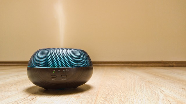 Thrive: Entrepreneur Energy Management for Wellness Success