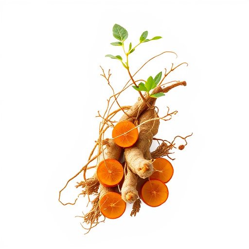 Comprehensive Guide to Ginseng Energy: Unlock Nature’s Elixir