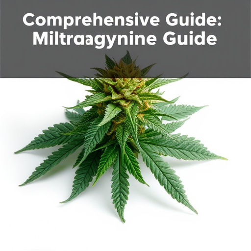 Comprehensive Guide: Mitragynine Content by Strain