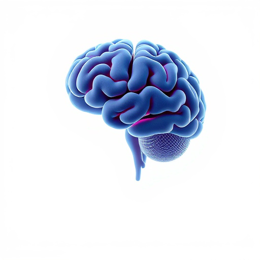 Unleash Brain Potential: Herbs for Neuroplasticity Enhancement