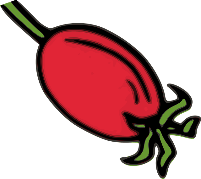 Unveiling Pacific Island Plant Medicine’s Timeless Wisdom