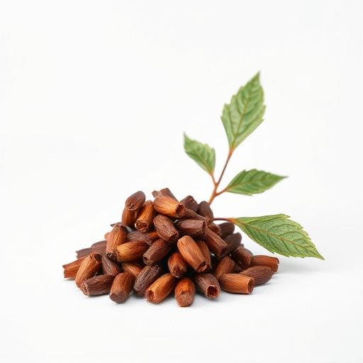 Comprehensive Guide to Tongkat Ali Energy Herb Benefits and Usage