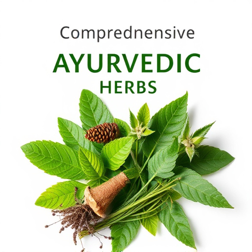 Comprehensive Ayurvedic Herbs Guide: Unlocking Nature's Healing Power