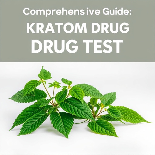 Comprehensive Guide: Kratom Drug Test Facts & Passing Tips
