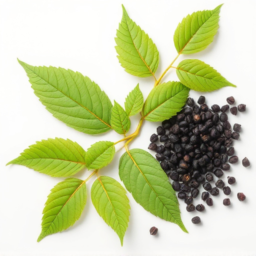 Comprehensive Guide to Kratom & Black Pepper Extract: Benefits and Usage