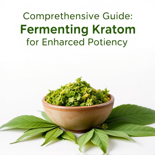 Comprehensive Guide: Fermenting Kratom for Enhanced Potency