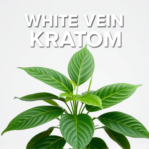 White Vein Kratom Complete Guide: Unveiling Nature’s Benefits