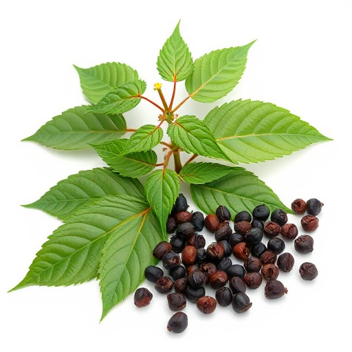 Comprehensive Guide: Kratom & Black Pepper Extract Benefits and Usage