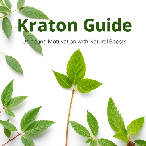 Kratom Guide: Unlocking Motivation with Natural Boosts