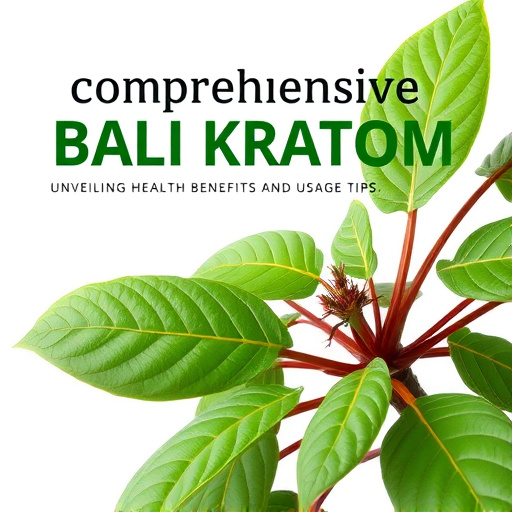 Comprehensive Bali Kratom Guide: Unveiling Health Benefits and Usage Tips