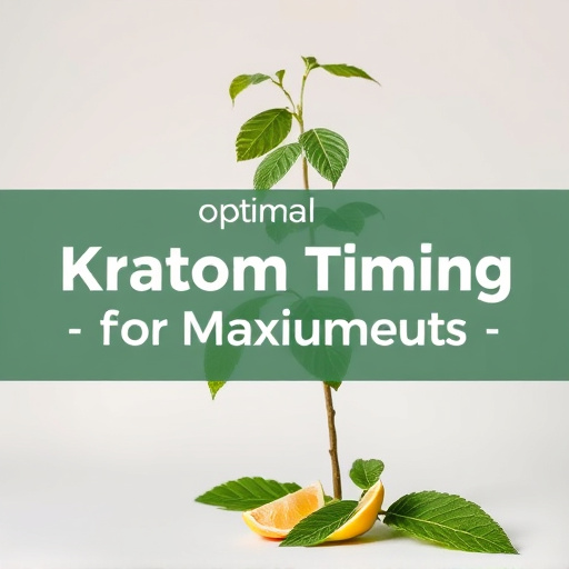 Comprehensive Guide: Optimal Kratom Timing for Maximum Benefits