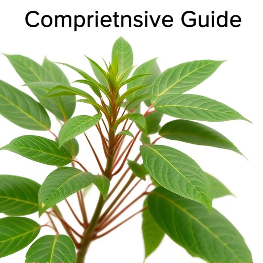 Comprehensive Guide: Jong Kong Kratom Profile & Expert Insights