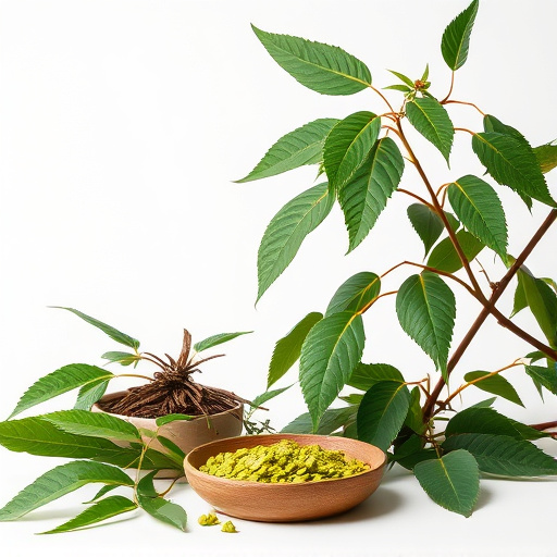 Master Kratom Freshness Test: Expert Guide to Quality